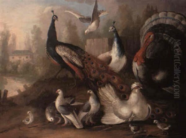 A Concert Of Exotic Birds In A Park Landscape - view 1