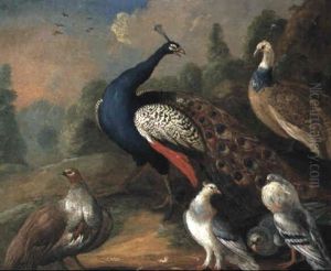 A Peacock, A Peahen, A Partridge And Pigeons In A Landscape