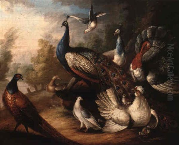 Ornamental Fowl In A Landscape - view 1