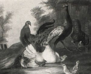 Pheasant, Chicken And Chicks By A River