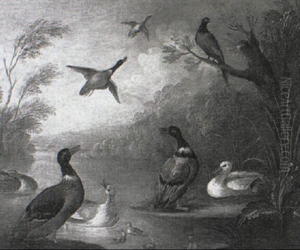A Mallard Duck And Chicks On A River With Pheasants Flying Overhead - view 1