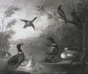 A Mallard Duck And Chicks On A River With Pheasants Flying Overhead