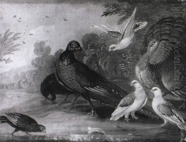 A Peacock, A Pheasant And Other Birds In A Landscape - view 1