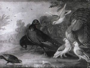 A Peacock, A Pheasant And Other Birds In A Landscape