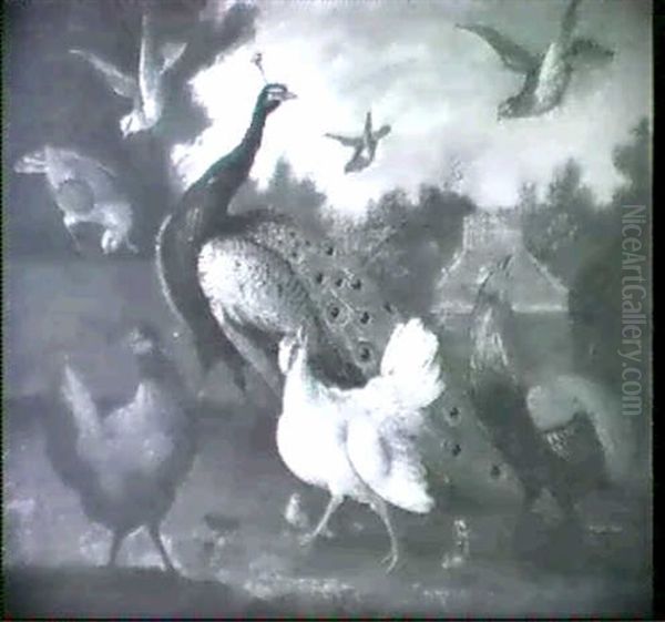 Ornamental Fowl In A Landscape - view 1