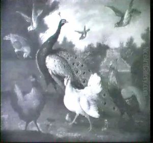 Ornamental Fowl In A Landscape