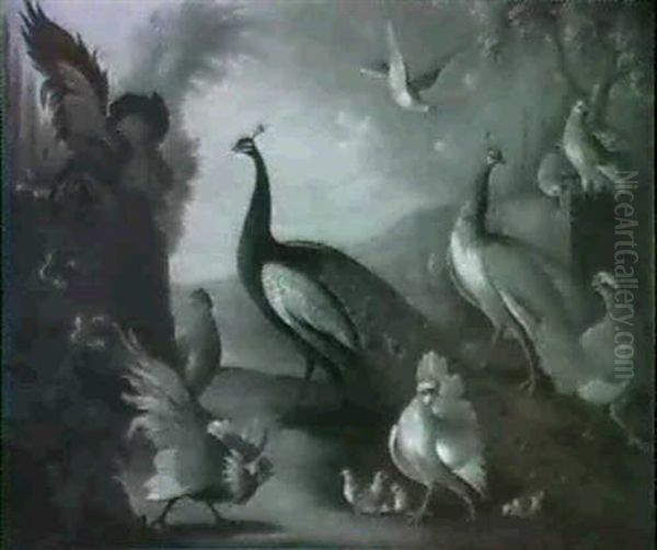 Two Peacocks, Doves, Chickens And A Rooster In A Park - view 1