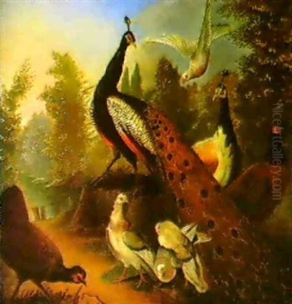 A Peacock And Other Birds In A Landscape by Marmaduke Cradock