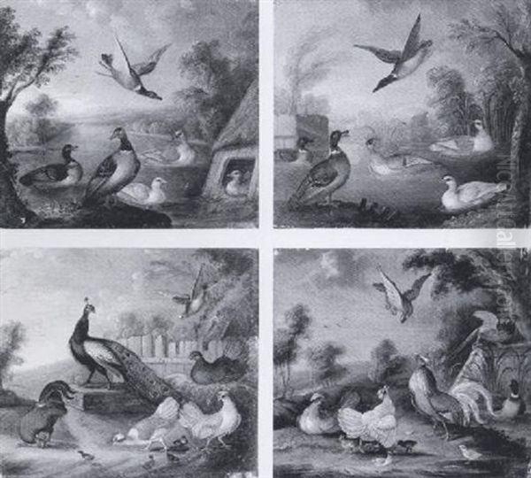 Peacocks, Ducks And Other Fowl In Ornamental Garden Landscapes - view 1