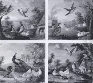 Peacocks, Ducks And Other Fowl In Ornamental Garden Landscapes