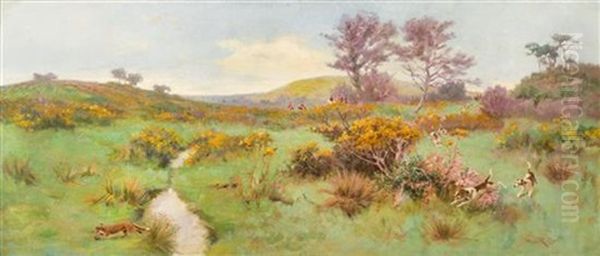 The Fox Hunt - view 1