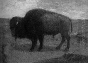 Buffalo by Charles Craig