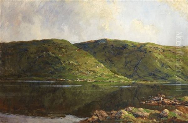 Lough Fea, County Monaghan - view 1