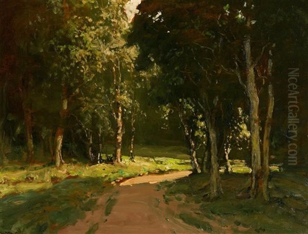 Clandeboye Forest - view 1