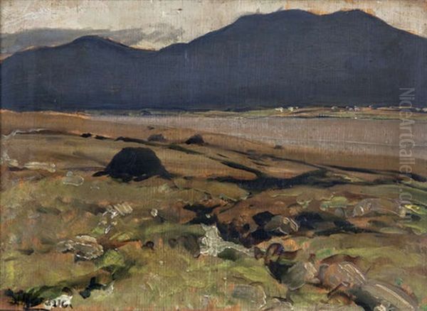Turf Stacks In A Donegal - view 1