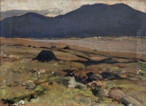 Turf Stacks In A Donegal