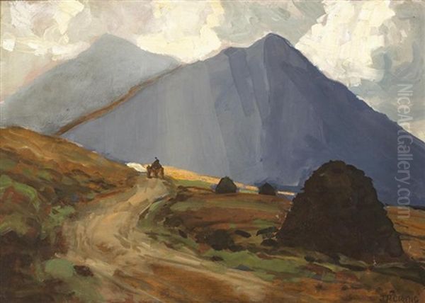 Connemara, County Galway - view 1