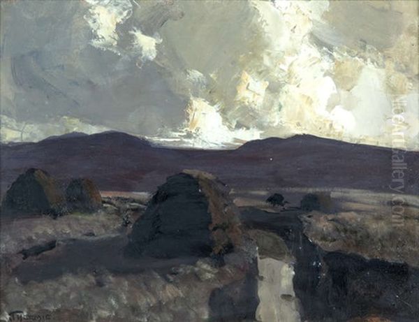 Bogland, West Of Ireland - view 1