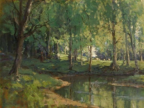 Early Summer, Silversprings, Co. Antrim - view 1