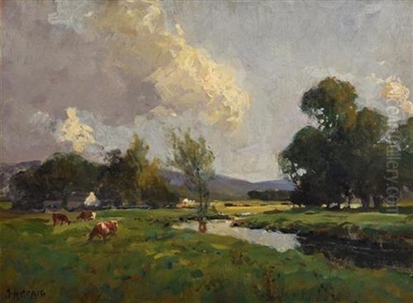 Cattle Grazing, West Of Ireland - view 1