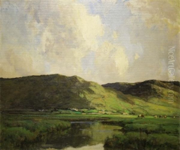 Connemara Landscape - view 1