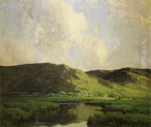 Connemara Landscape