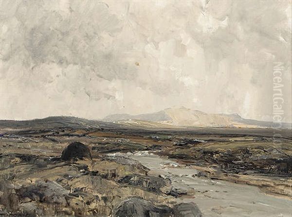 Mayo In October - view 1