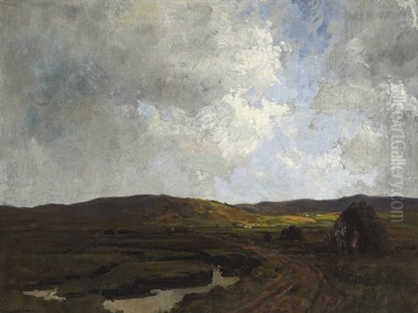 The Glen Bog, County Donegal - view 1