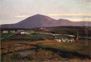 Attending The Geese, Altnabrocky, Co Mayo