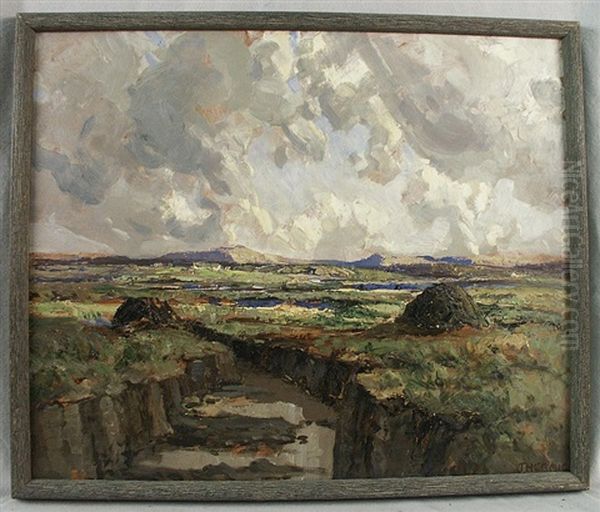 View Of The Bog, Donegal - view 1