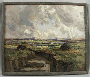 View Of The Bog, Donegal