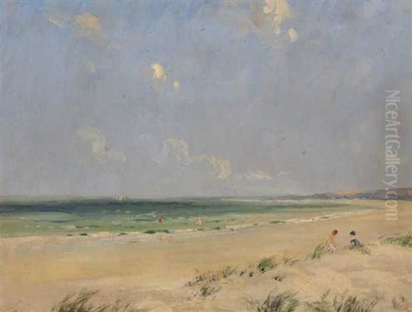 The Millisle Strand - view 1