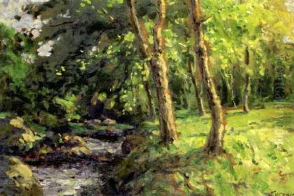 The Brablagh Burn, Cushendun - view 1