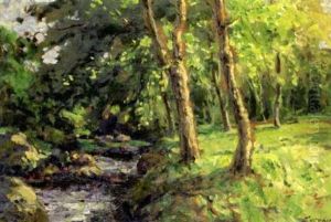 The Brablagh Burn, Cushendun
