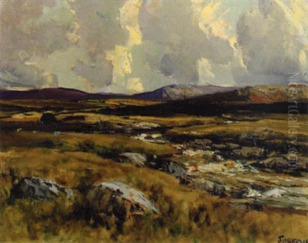 Cloud Shadows, Glenwherry, Co. Antrim - view 1