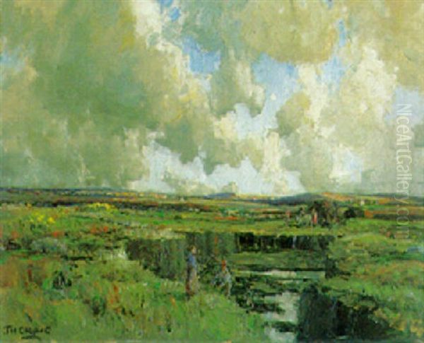Bog Land, Altnabrochy, Co. Mayo - view 1