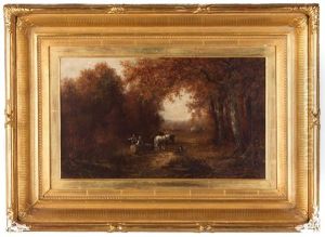 Woodland Scene Woodland Scene