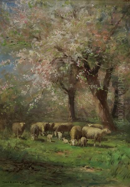 Springtime - view 1