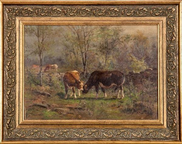 Cows - view 1