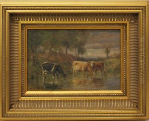 Cattle At Water Edge