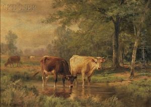 A Meadow Pool