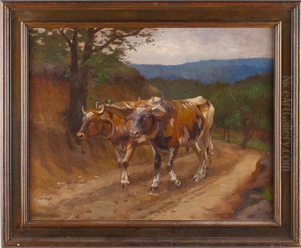 Oxen - view 1