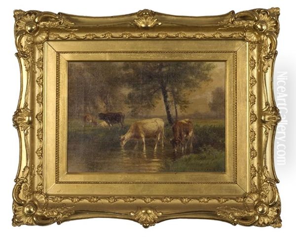 Cows Watering In A Stream - view 1