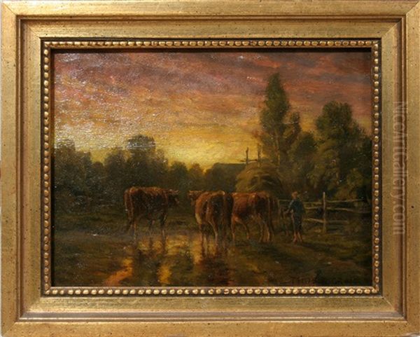 Evening - view 1