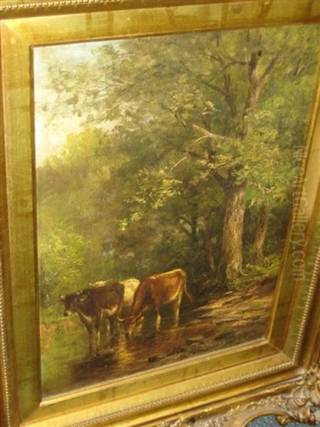 Cows Watering Among Trees - view 1