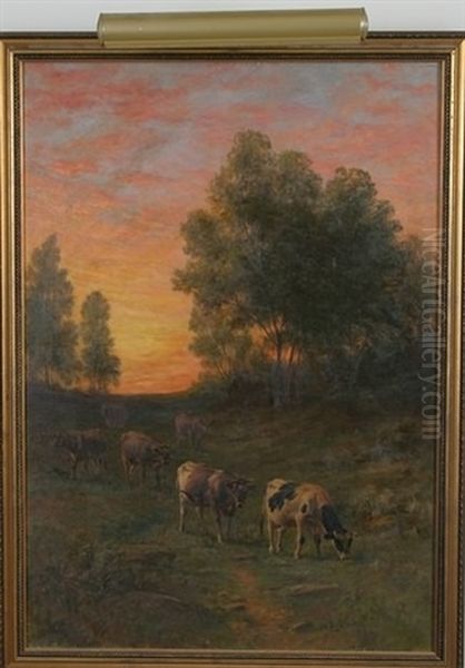 The Evening Hour - view 1
