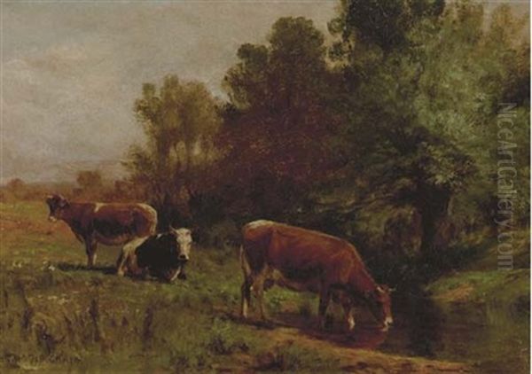 Cows Resting In A Pastoral Landscape - view 1