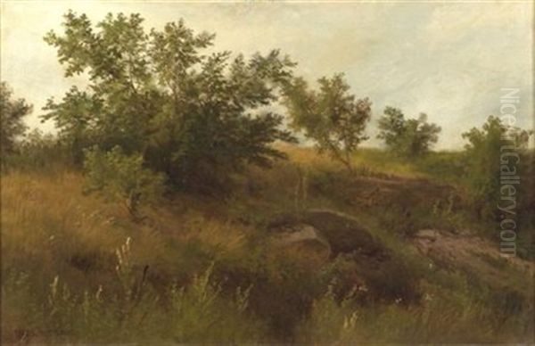 September Hillside - view 1