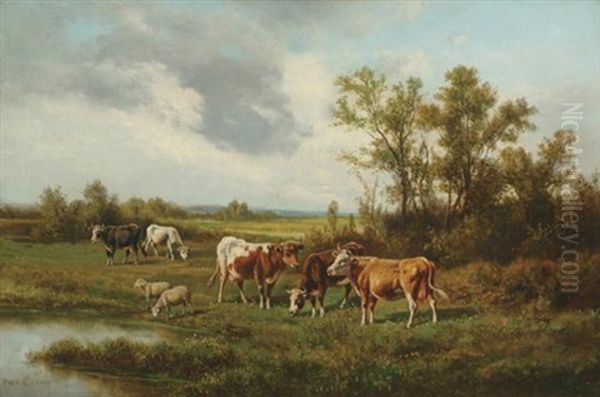 Cattle And Sheep Grazing By Water - view 1