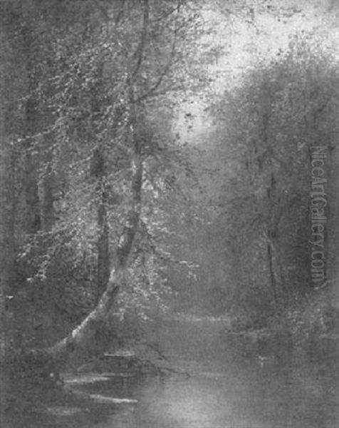 Autumn On The Creek - view 1